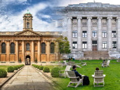 Diagnóstico automatizado con IA o médico con humanos: lo que Harvard y Oxford publicaron recientemente